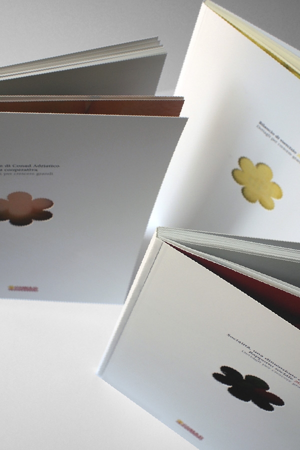 2008_Conad_Annual_Report_0.jpg